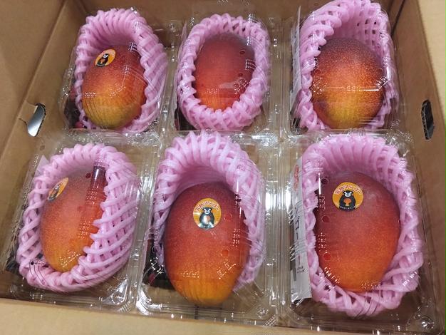 家庭用3L マンゴー　　　6個入り おうちマンゴー 3L 6パックセット | 果物/マンゴー 産直アウル