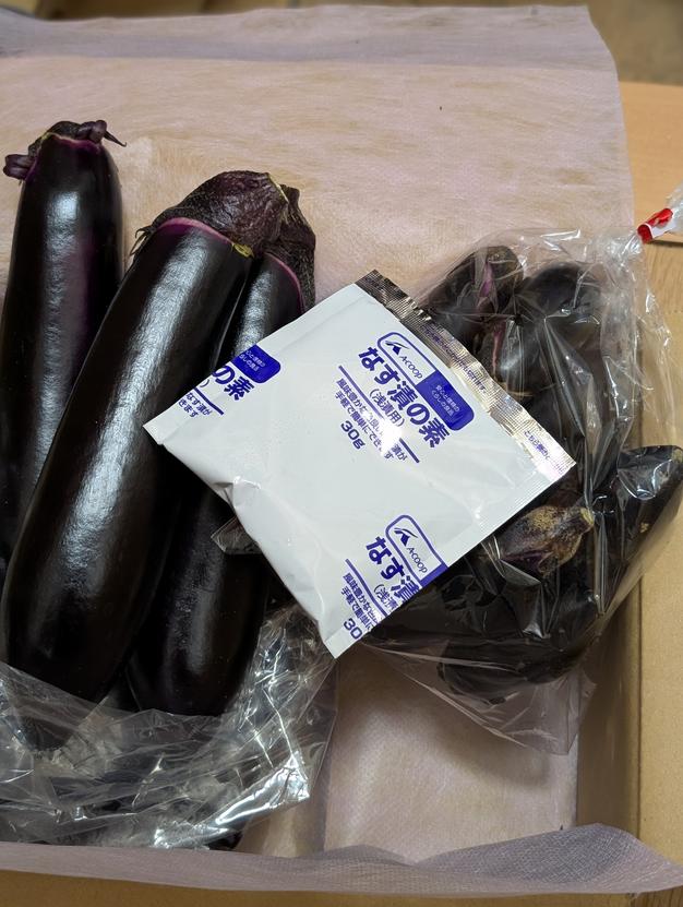 野菜ソムリエサミット『金賞』受賞！！】ごほう美ナス （約1kg、ナス8