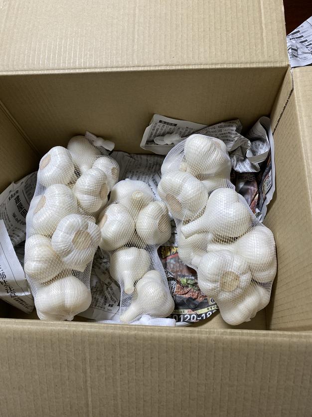 ジャンボにんにく.バラ.5kg 愛知県産ジャンボにんにく☆バラ箱込み5キロ農薬不使用