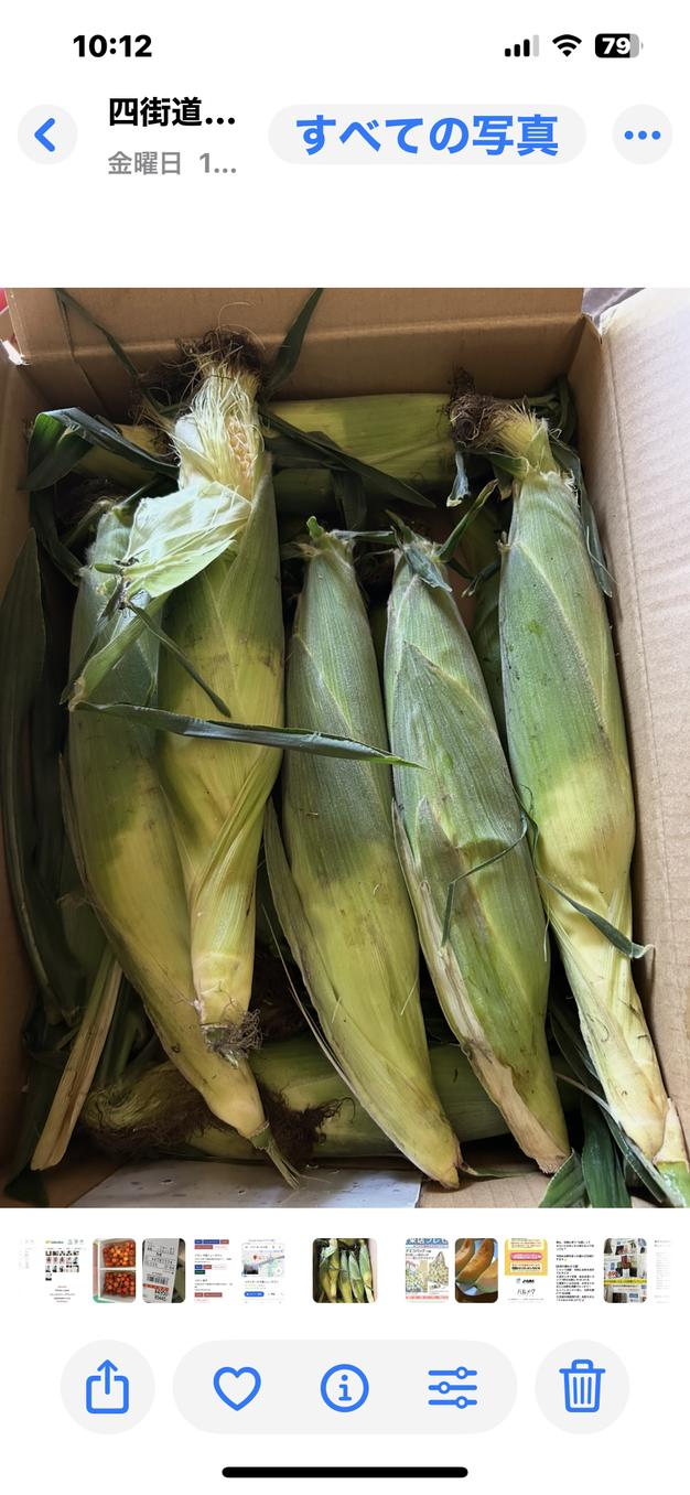 新鮮朝採り】早朝収穫のゴールドラッシュ6本 | 野菜