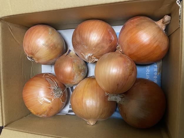 淡路島産コシヒカリ 令和6年度淡路島産コシヒカリ5kg | 米・穀物/米/精米 産直アウル