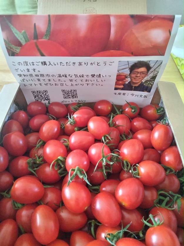 訳あり♪『アイコ2kg箱』ヘタあり・傷ありランダム♪ちょうど