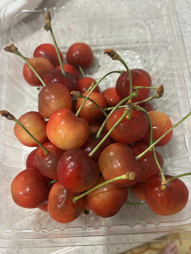 さくらんぼ「紅秀峰」たっぷり1kg大玉2Lサイズ | 果物