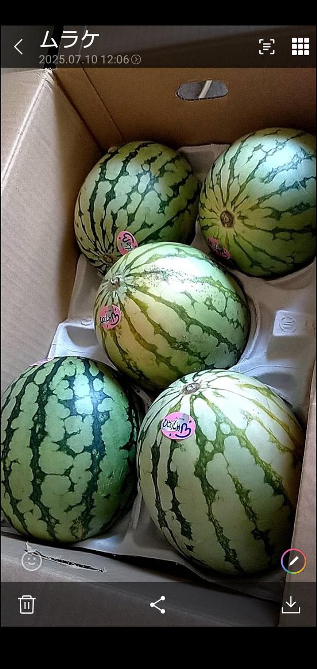 熊本県産紅はるか　2L〜4Lサイズ 20kg送料込み 熊本県産 さつまいも 紅はるか 規格外品 箱込み 約5kg【003】 紅