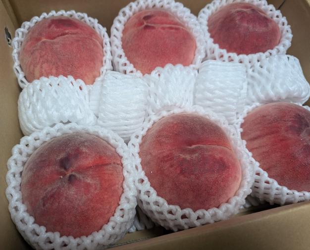 信州産 プラム すもも 2kg + ネクタリン 2kg クール 信州産 果物 セット ネクタリン 桃 プラム 2kg×2 クール #u
