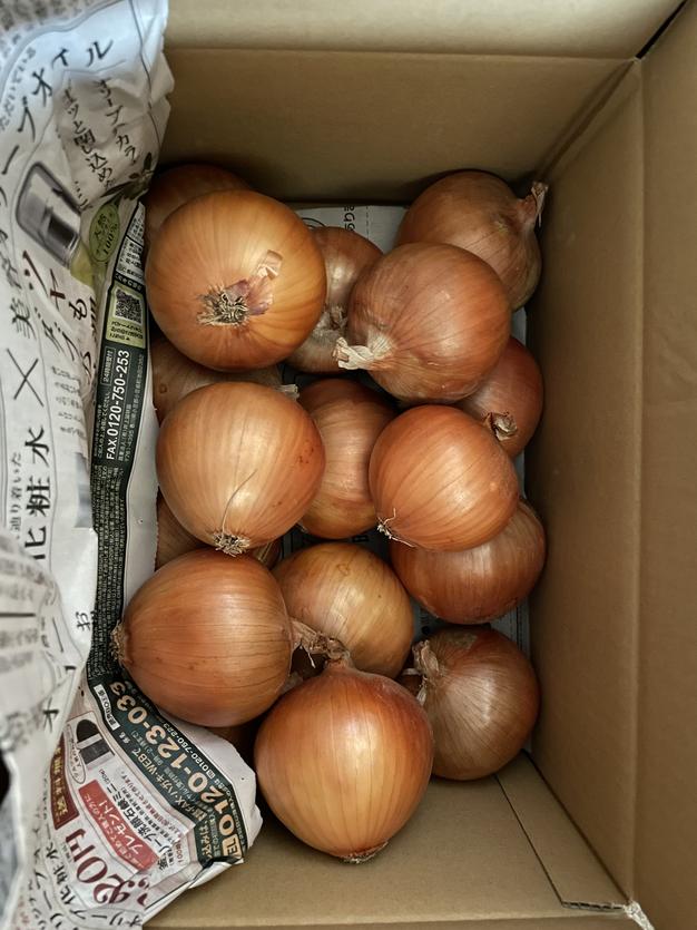 令和6年度淡路島産コシヒカリ10kg（5kg✖️2） | 米・穀物/米