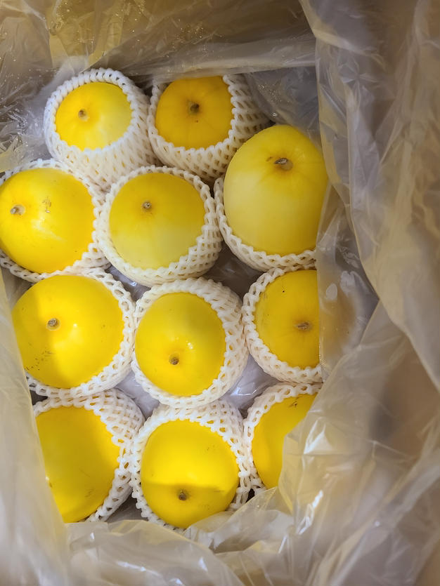 【訳あり&amp;規格外品】ダシ用　毛蟹2kg（1kgあたり6〜7杯） 3732cbf8a2f4f42c4511e54559a08e