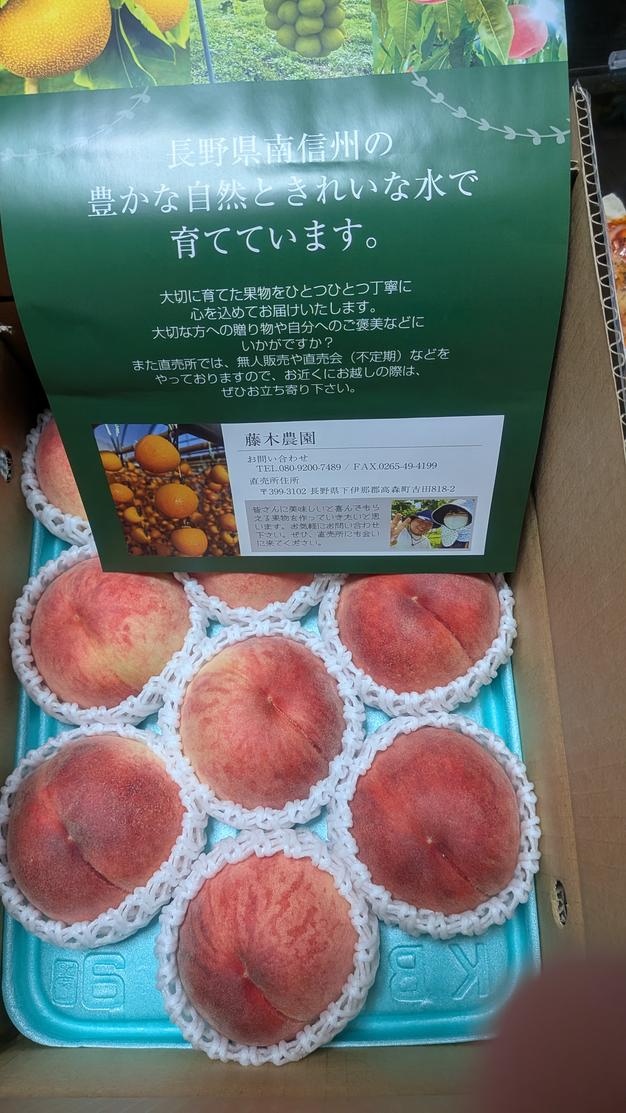 お問い合わせ多数!!藤木農園の市田柿 11~17玉入り 3袋セット | 果物 お問い合わせ多数!!藤木農園の市田柿 11~17玉入り 3袋セット | 果物