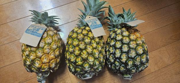 ゴールドバレル 農家直送 3個セット(7kg〜8kg) お買い得 夏