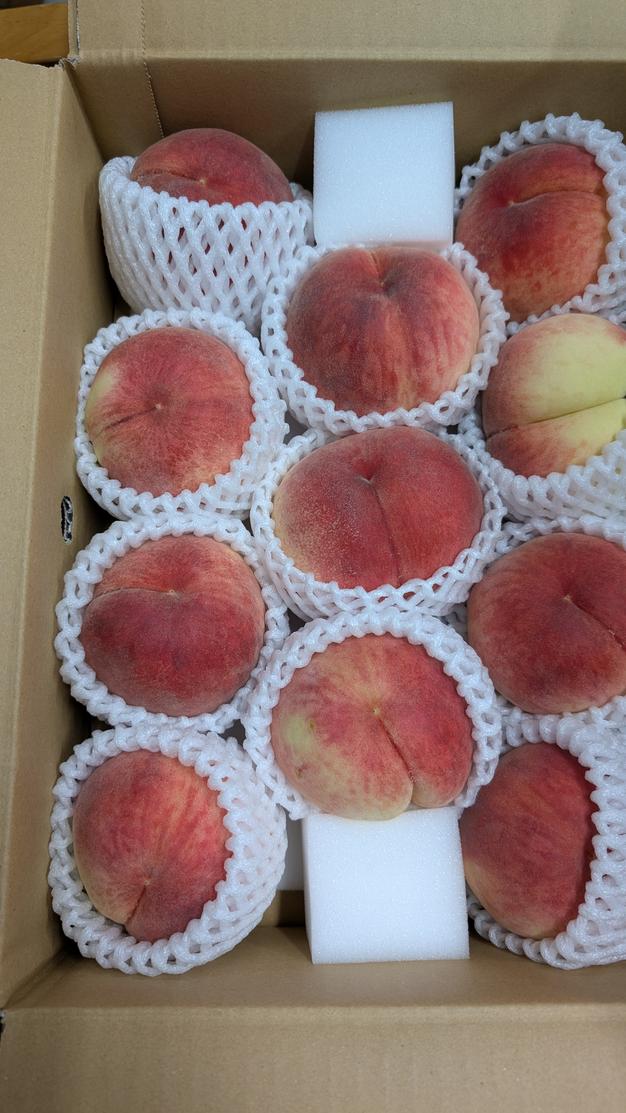 数量限定お試し価格】さくらんぼご家庭用(訳あり品)300g | 果物