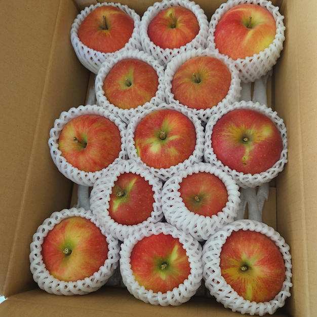 るーさんが 信州のど真ん中、梶原農園 の 【夏あかり3kg】甘くて硬い