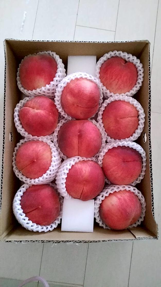 桃『訳あり品』『ご家庭用』品種おまかせ 3kg ｜ 果物/もも 産直アウル