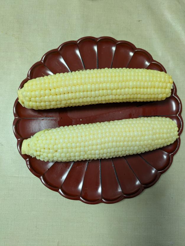 訳あり ホワイトコーン1.5キロ 約5-7本 ｜ 野菜/とうもろこし 産直