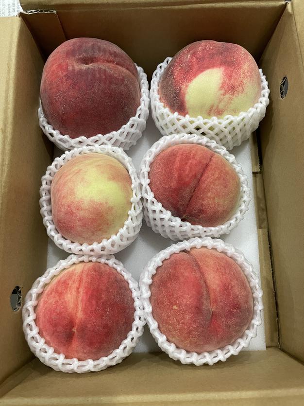 山梨県産　ソルダム4kg×2 赤肉プラム ”山梨県産 ソルダム” 8～16玉前後 約1kg【予約 7月