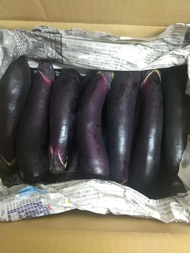 とろける長ナス ｜ 野菜/茄子 産直アウル 農家・漁師など生産者から