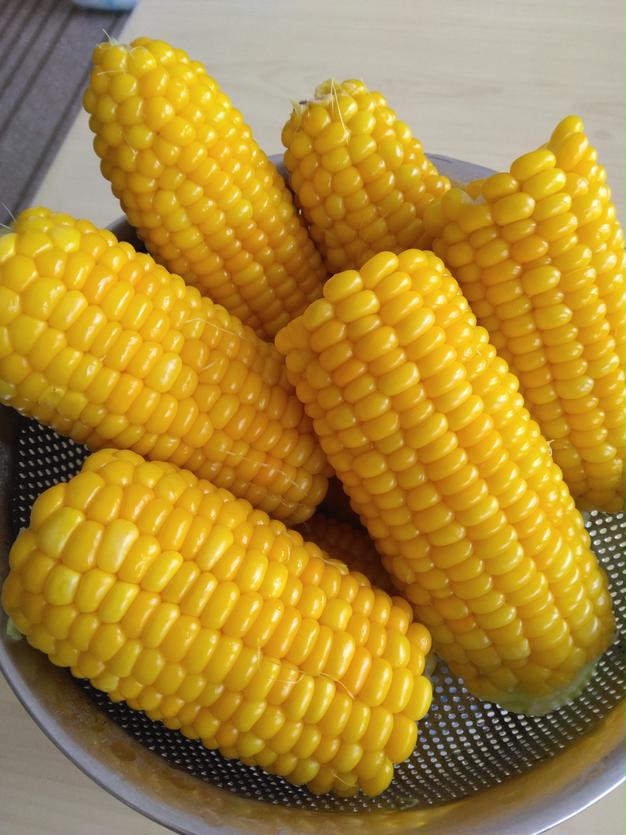 令和3年産】お買い得!!玄米30kg | 米・穀物/玄米 産直アウル