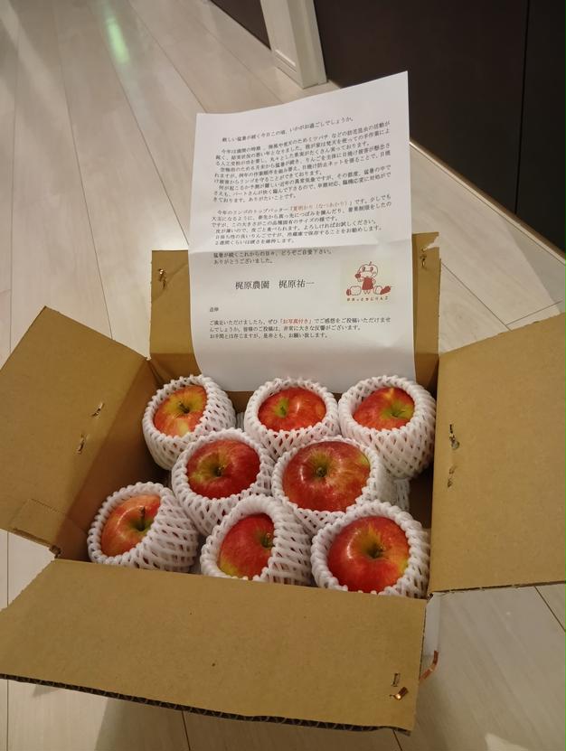 夏あかり2kg】甘くて硬い味の濃い、日保ちする夏りんご。皮