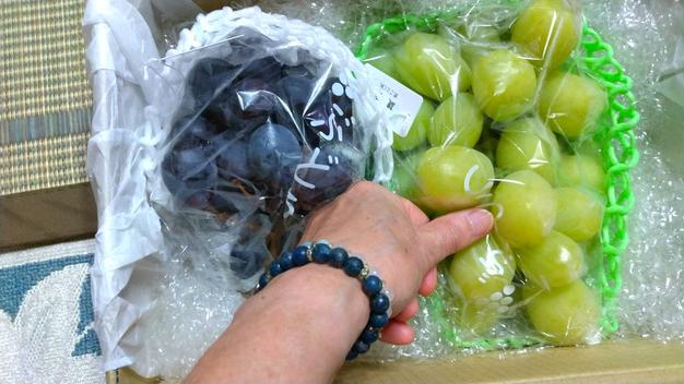 【とな】藤稔の粒　箱込1kg弱 割れ粒 藤稔】訳アリだけど葡萄らしい深い味わい（1kg以上