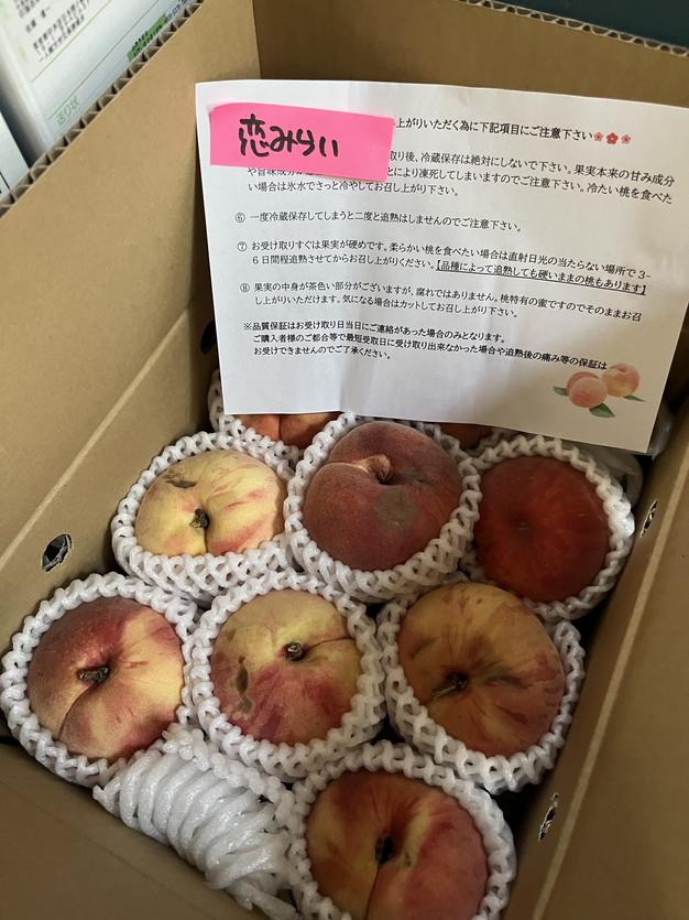 ちーちゃんさま専用　朝採れ双子さくらんぼ　紅秀峰　2キロ ちーちゃんさま専用 朝採れ双子さくらんぼ 紅秀峰 2キロ - メルカリ