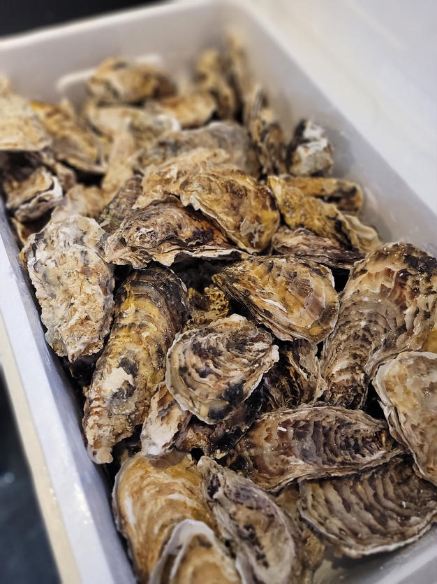 【休業日はプロフ参照】「冷凍出荷！カニ汁用！石蟹小サイズ８kg」 松島牡蠣屋 漁師の店長自ら漁獲です！蟹汁 味噌汁 中華料理 目安：2キロで40杯程度 ＢＢＱ 海産物【80】冷凍蟹 冷凍カニ 冷凍カニ 出汁 冷凍出荷！石蟹小サイズ2kg カニ汁用！ イシガニ 松島牡蠣屋