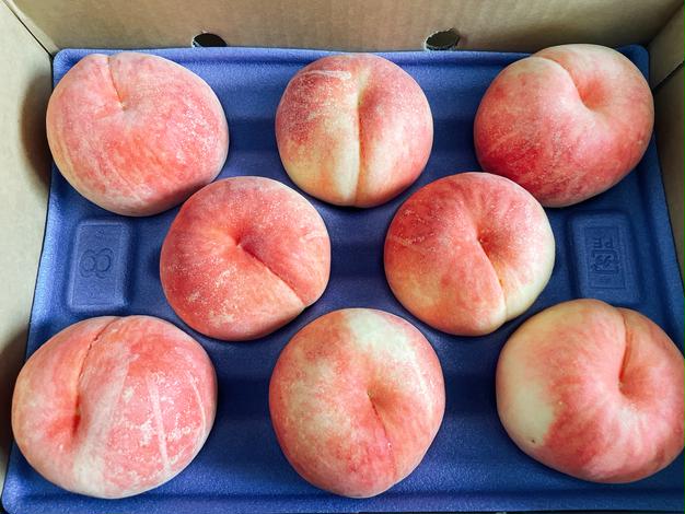ちっちさん専用　特大　桃　あかつき　わけあり　10kg 8月上旬〜中旬 あかつき 桃 訳あり 減農薬 長野県産 10キロ : Su