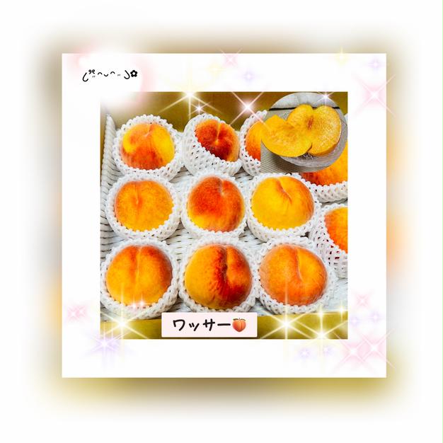 家庭用】早生ワッサー2.4kg（10～12玉）／本気農場いけだ | 果物