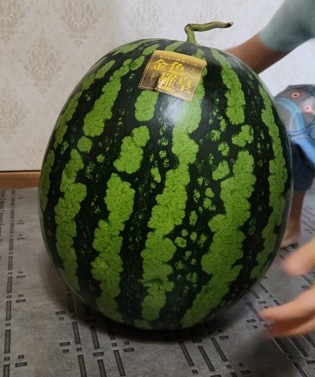 2Lサイズ🍉】羅皇ザスウィート 2玉 中サイズ | 果物/スイカ