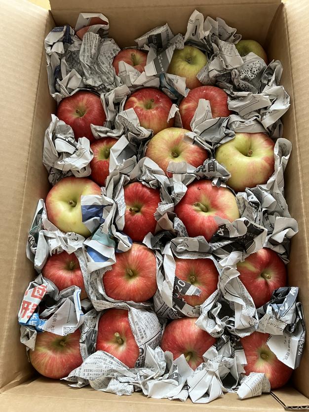 信州産　ぐんま名月　家庭用3kg ぐんま名月 3kg ご自宅用 ｜いっちゃん林檎農園の通販・お