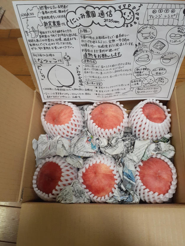 若桃加工用 加工用 桃 あかつき 約3kg | 果物/もも 産直アウル 農家から直接