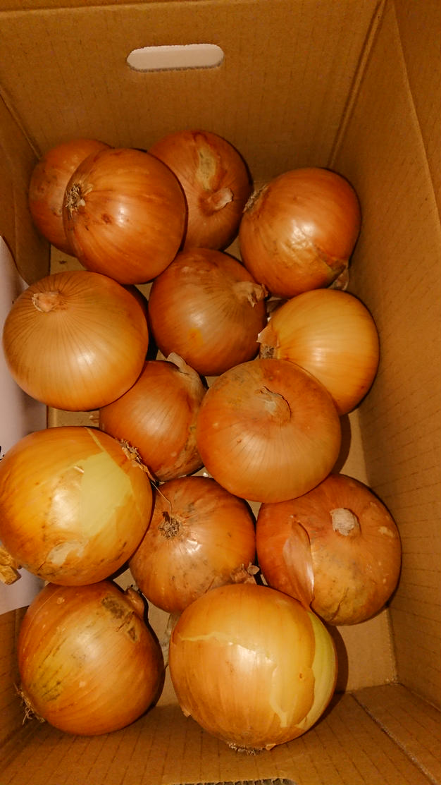 九代目園主が育てた！】淡路島サラダたまねぎ(5kg） | 野菜