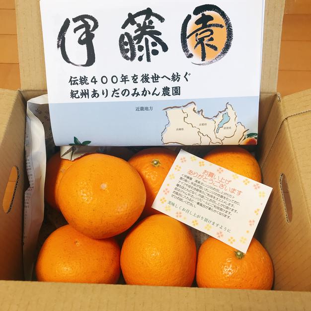 大玉3L2kg】94歳とみ子ばぁばの清見（きよみ）オレンジ ｜ 果物