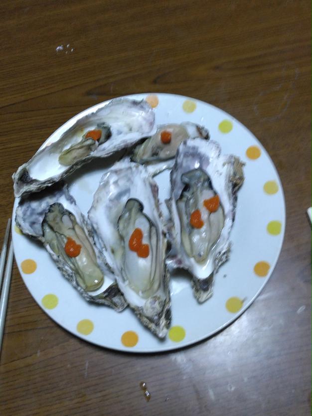 10％OFF中】生食用牡蠣10kg【現在 急速冷凍品で出荷中