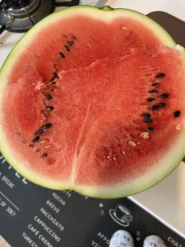 Lサイズ🍉】 羅皇ザスウィート 2玉 小ぶりなサイズ | 果物