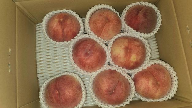 桃【なつっこ家庭用】数量限定販売 ｜ 果物/もも 産直アウル 農家