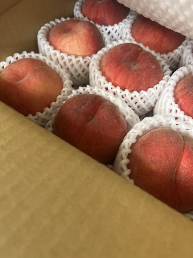 キズあり。CocoRo♡farm ワッサーのような硬い桃（美郷）8kg peach_cut.jpg?crop=center&