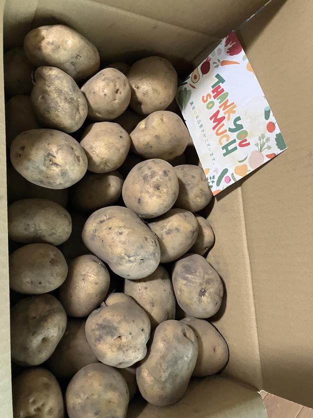 安曇野の大地で育った無農薬新ジャガイモ5キロ | 野菜