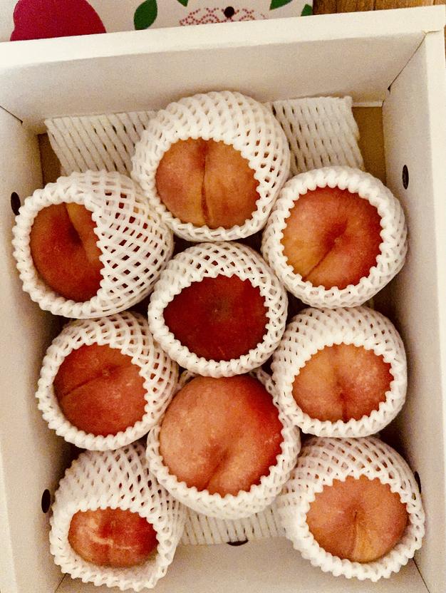 nanatubosi　川中島白桃　５キロ　クール便 8月下旬 川中島白桃 5キロ | くだもの,もも | Su-eat Farm