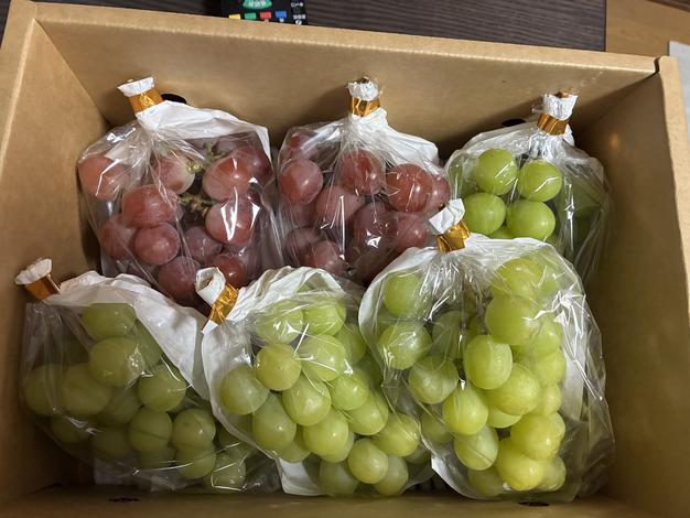 大特価】食べ比べセット 約2kg (サンシャインレッド2房+シャイン