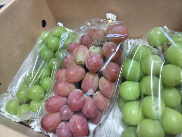 大特価】食べ比べセット 約1.2kg（サンシャインレッド1房＋