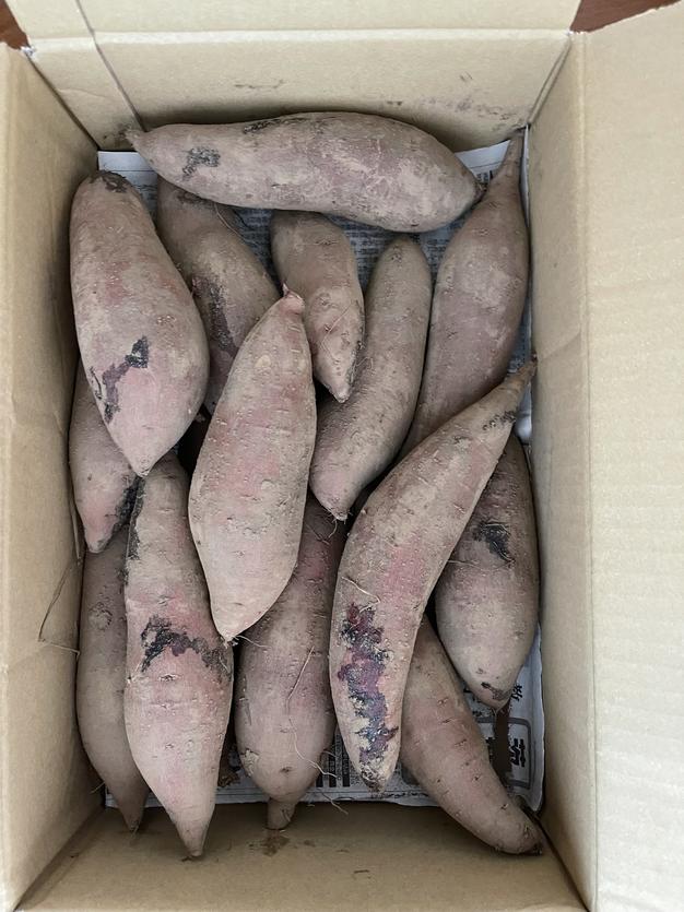 佐之衛門のふくむらさき5キロ ｜ 野菜/さつまいも 産直アウル 農家