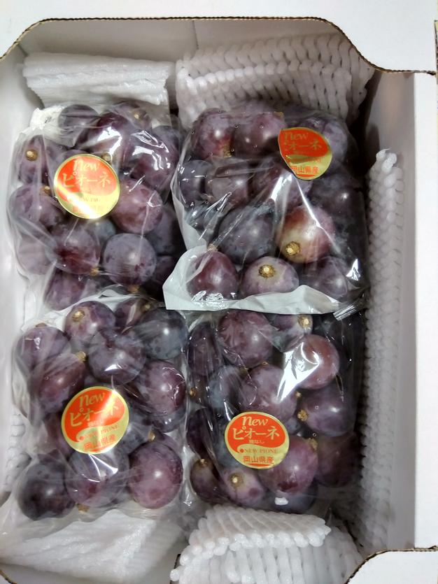 ももはるママ　藤稔2kg箱 2箱 楽天市場】藤稔 2kgの通販