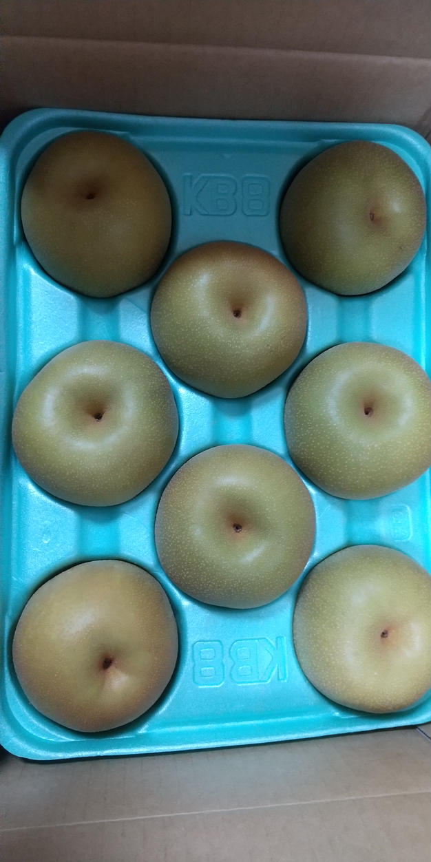 加工用 桃 あかつき 約3kg | 果物/もも 産直アウル 農家から直接