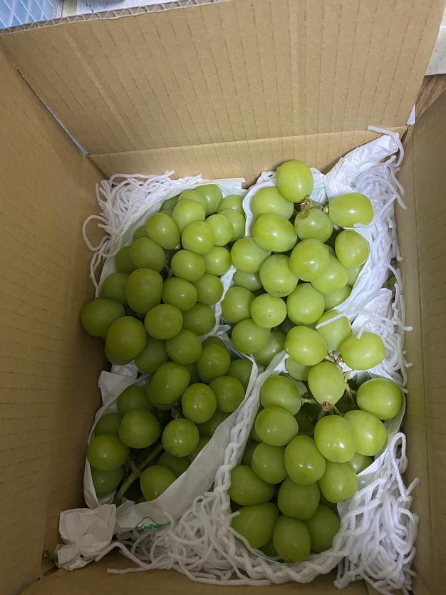 初夏の贈り物】朝摘みゴールドラッシュ〈特選12本 クール便〉 | 野菜