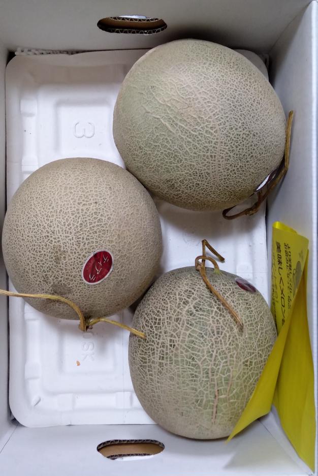 超特大!!!! 秀品 「品種：ティアラ」 北海道アサヒメロン3玉 8キロ 楽天市場】超特大 ドデカ アサヒメロン 優品以上 幻 超特大玉2.7