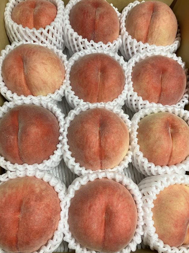 残りわずか 桃の王様👑川中島白桃 ご家庭 約3キロ | 果物/もも 産直