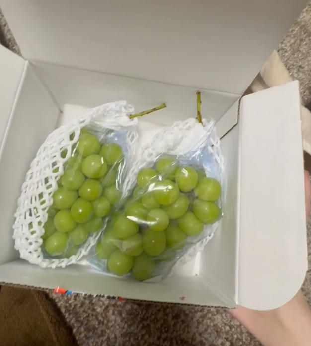 訳あり】富士の輝き4房入り | 果物/ぶどう 産直アウル 農家から直接