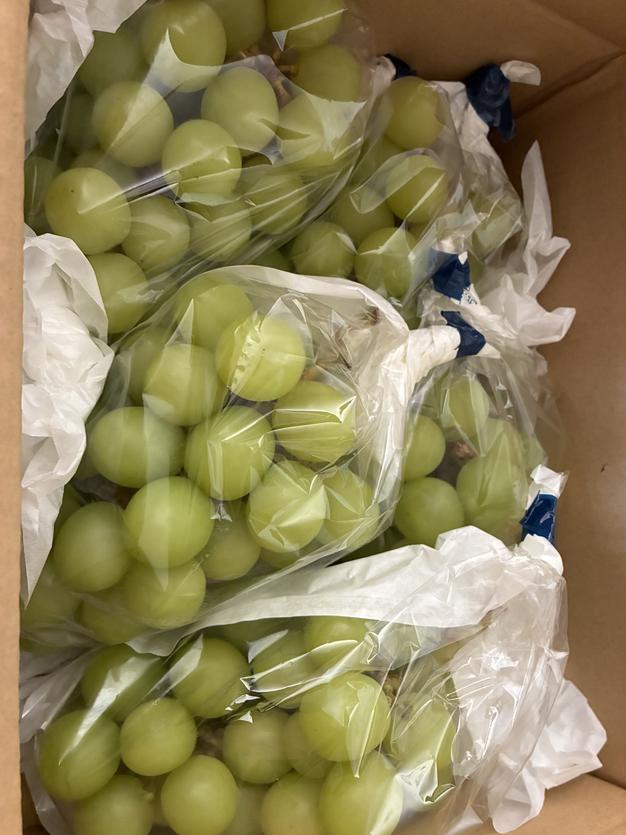 シャインマスカット 約2kg ご家庭用 簡易梱包 糖度18度以上 ｜ 果物