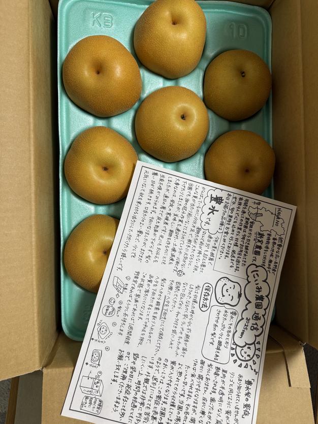 梨 豊水 良品 約10kg (20個〜26個) | 果物/梨 産直アウル 農家