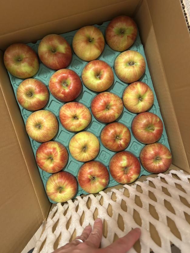 限定出品 硬めの桃 希少品種美郷 | 果物/もも 産直アウル 農家