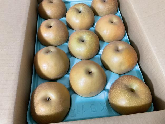 南水5kg】糖度15°、超甘い、シャリ感、硬い、ジューシー、日保ち